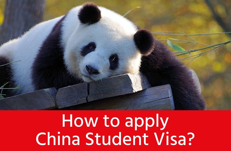 how to apply china student visa